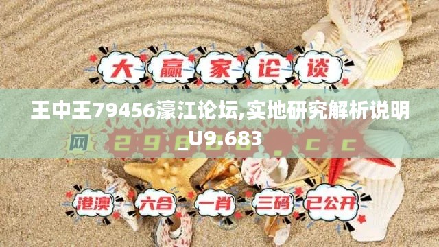 王中王79456濠江论坛,实地研究解析说明_U9.683