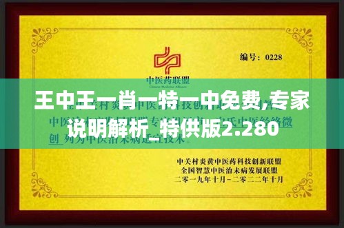 王中王一肖一特一中免费,专家说明解析_特供版2.280