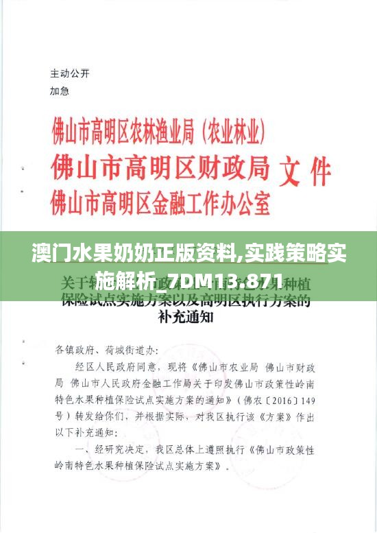 澳门水果奶奶正版资料,实践策略实施解析_7DM13.871