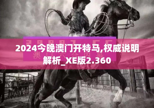 2024今晚澳门开特马,权威说明解析_XE版2.360