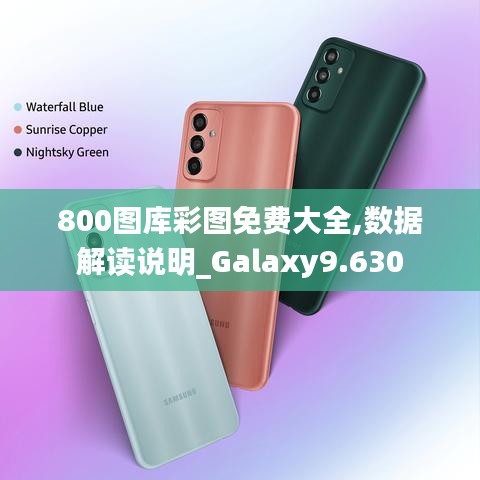 800图库彩图免费大全,数据解读说明_Galaxy9.630