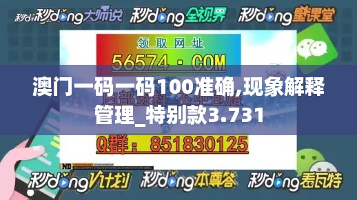 澳门一码一码100准确,现象解释管理_特别款3.731