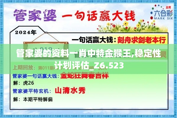 管家婆的资料一肖中特金猴王,稳定性计划评估_Z6.523