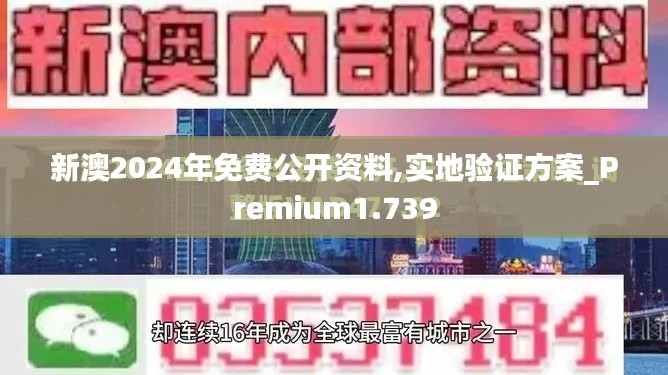 新澳2024年免费公开资料,实地验证方案_Premium1.739