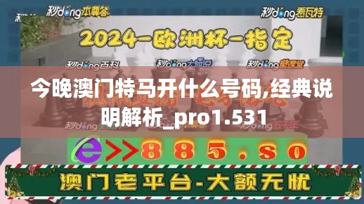 今晚澳门特马开什么号码,经典说明解析_pro1.531