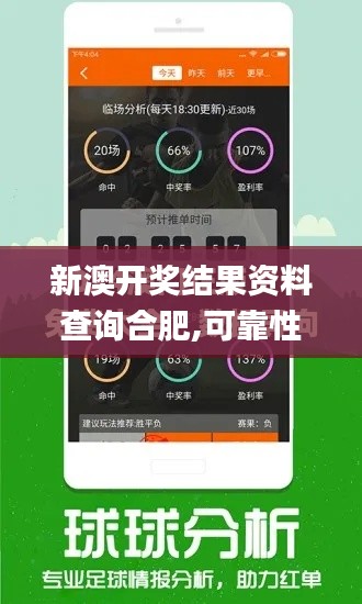 新澳开奖结果资料查询合肥,可靠性执行方案_V1.312