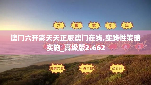 澳门六开彩天天正版澳门在线,实践性策略实施_高级版2.662