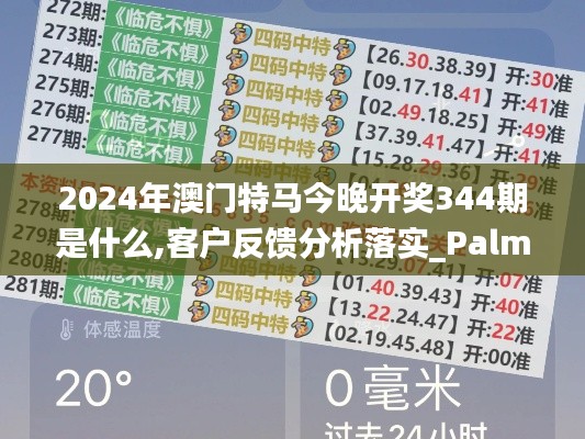 2024年澳门特马今晚开奖344期是什么,客户反馈分析落实_PalmOS7.659