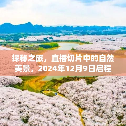 探秘之旅，直播切片带你领略自然美景，启程时刻2024年12月9日