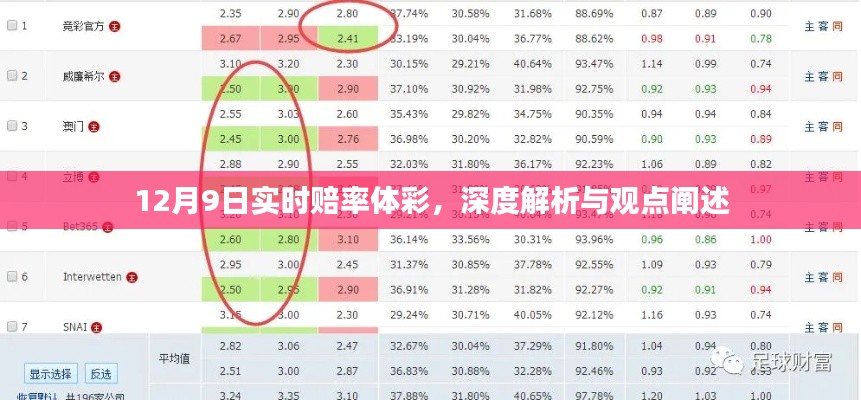 12月9日体彩实时赔率深度解析及观点阐述