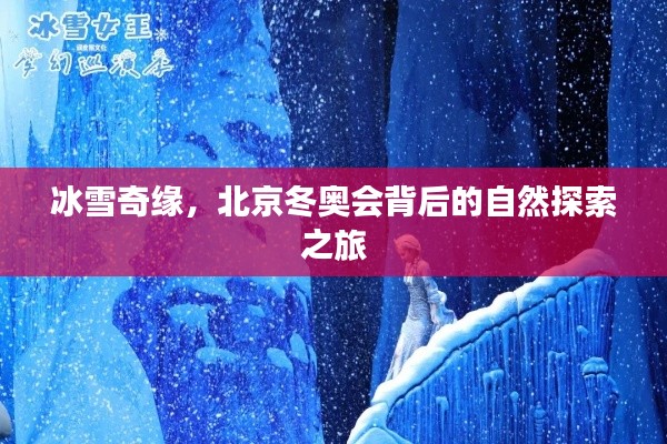 北京冬奥会背后的自然探索之旅，冰雪奇缘