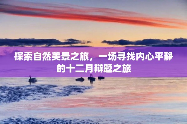 十二月辩题之旅，探寻自然美景与内心平静之旅