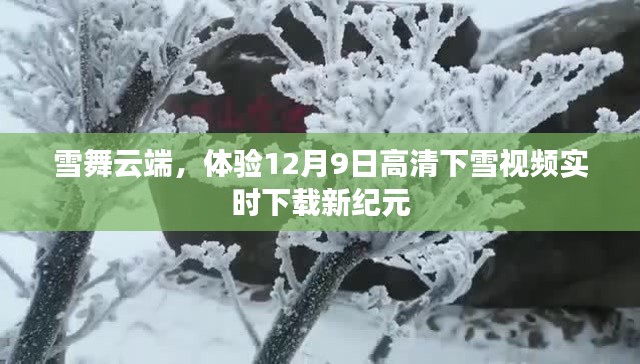 雪舞云端，高清下雪视频实时下载新纪元体验指南（12月9日）