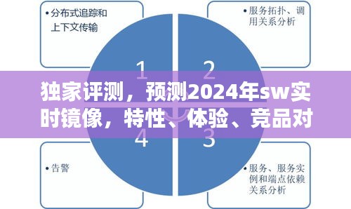 独家评测揭秘，2024年SW实时镜像特性、体验、竞品对比及用户群体深度分析