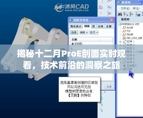 揭秘十二月ProE实时剖面观看，技术前沿深度探索