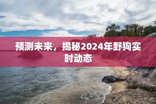 揭秘未来，野狗实时动态预测报告（2024版）