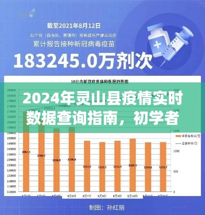 2024年灵山县疫情实时数据查询指南，初学者与进阶用户必备手册详解