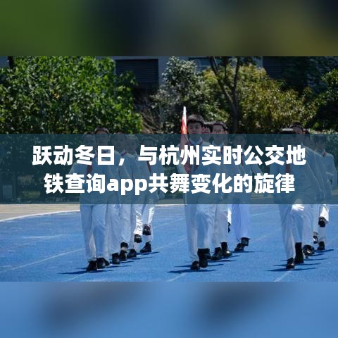 跃动冬日，杭州实时公交地铁查询app的旋律之旅