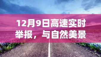 12月9日高速实时举报，与自然美景的奇遇，探寻内心宁静之旅