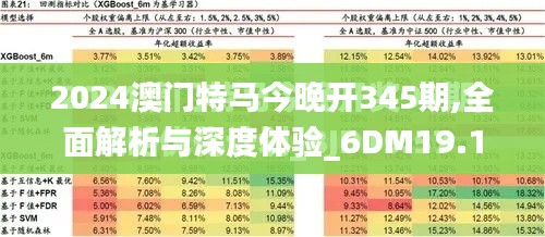 2024澳门特马今晚开345期,全面解析与深度体验_6DM19.102