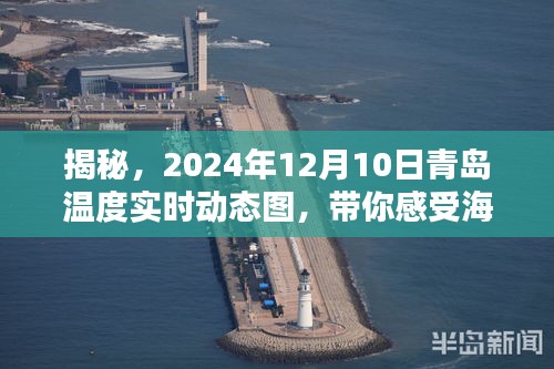 青岛温度揭秘，2024年12月10日实时动态图，感受海风轻拂的温馨瞬间