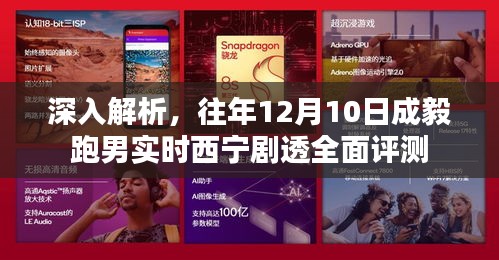 往年12月10日成毅跑男西宁剧透全面评测与深入解析