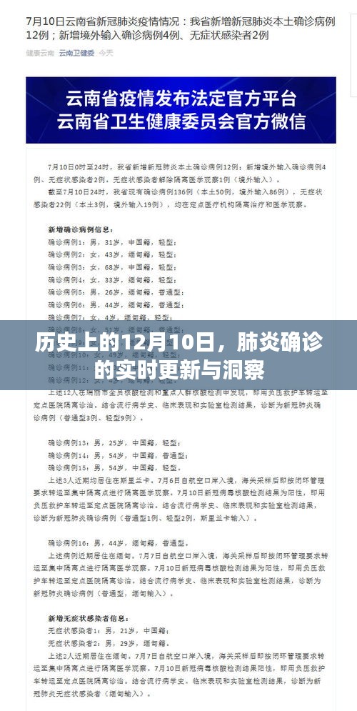 肺炎确诊实时更新与洞察，历史上的重要时刻——12月10日