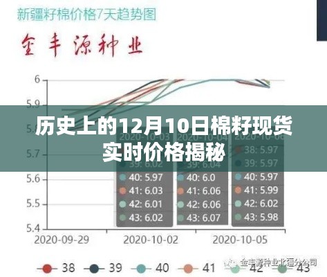 揭秘历史日期下的棉籽现货实时价格，12月10日回顾