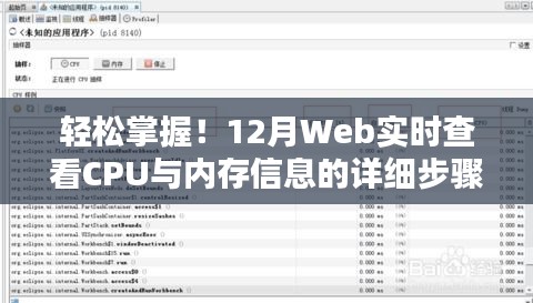 轻松掌握！Web端实时查看CPU与内存信息的详细指南（适合初学者与进阶用户）