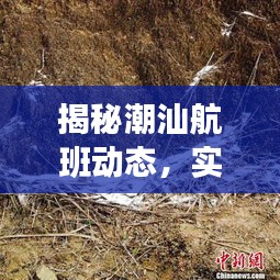 揭秘潮汕航班实时动态，跟踪网址与航班信息解读指南