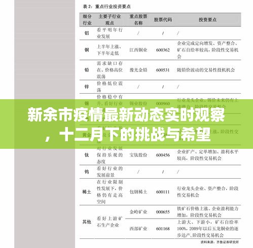 新余市疫情最新动态观察，十二月下的挑战与希望展望