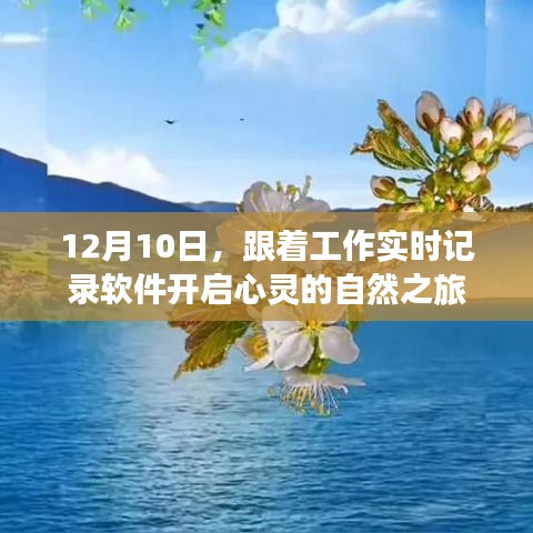 工作实时记录软件引领心灵自然之旅，启程于12月10日