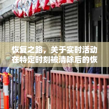 实时活动恢复策略深度解析，恢复之路的探讨与实践