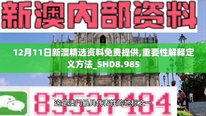 12月11日新澳精选资料免费提供,重要性解释定义方法_SHD8.985