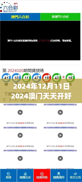 2024年12月11日2024澳门天天开好彩大全开奖结果,经典解读说明_移动版17.583