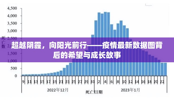 疫情阴霾后的曙光，希望与成长之路——疫情最新数据图分析