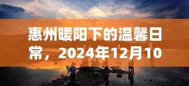 惠州暖阳下的温馨时光，2024年12月10日的暖冬记忆