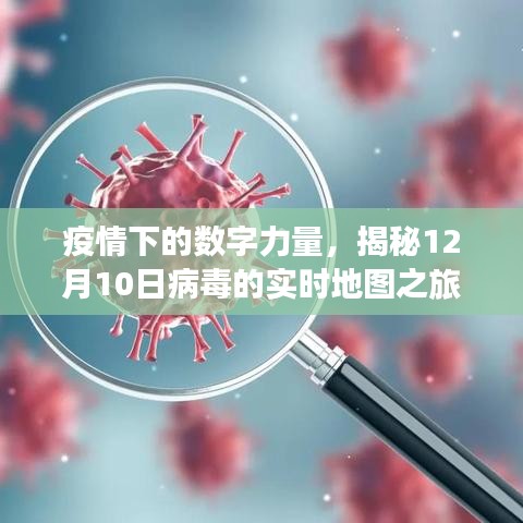 疫情下的数字力量，病毒实时地图揭秘之旅（12月10日专刊）