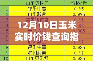 12月10日玉米实时价格查询及深度评测介绍