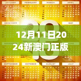 2024年12月11日 第7页