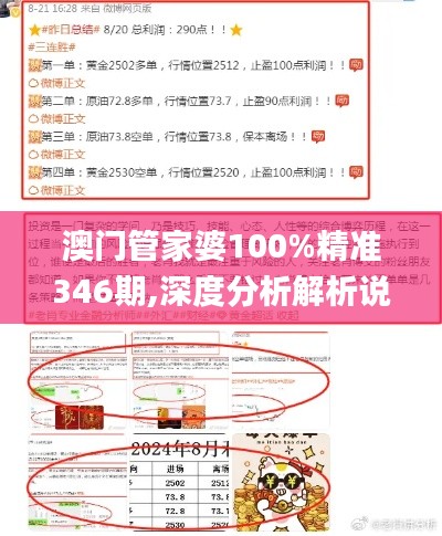 澳门管家婆100%精准346期,深度分析解析说明_豪华版8.299