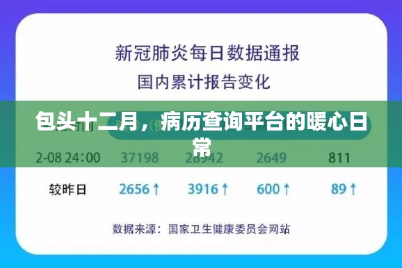 包头十二月，病历查询平台的温馨服务日常