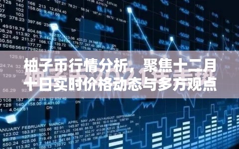 柚子币行情深度解析，十二月十日实时价格动态与多方观点碰撞