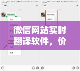 微信网站实时翻译软件，价值与应用前景深度探讨