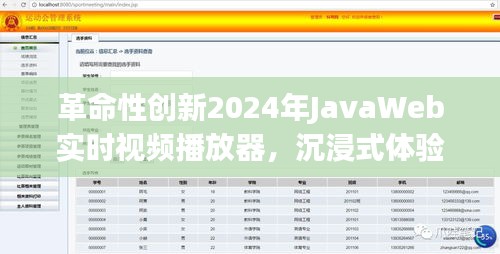 革命性创新，2024年JavaWeb实时视频播放器引领沉浸式体验，开启智能生活新纪元