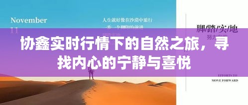 协鑫实时行情下的自然探索，追寻内心宁静与喜悦的旅程