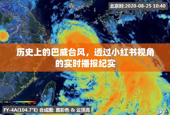 小红书视角下的巴威台风实时播报纪实，历史回顾与剖析