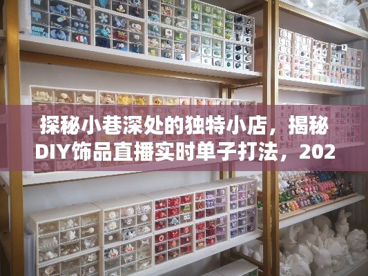 探秘小巷独特小店与DIY饰品直播秘籍，实时单子打法指南（2024年12月版）