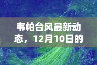 韦帕台风最新动态及实时报道与科普解析（12月10日更新）