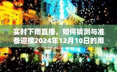 实时下雨直播，如何预测并准备迎接即将到来的雨幕（2024年12月10日）